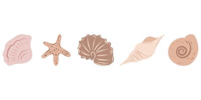 Seashells beige set, hand drawn seashells of different shapes. Underwater elements for cards, designs, invitations vector