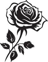 Simple Rose with Leaves Illustration on white Background vector