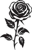 Simple Rose with Leaves Illustration with white Background. vector