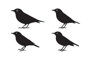 Black Bird Silhouette Set Minimalist Wildlife Clipart for Design vector