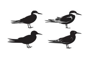 Bird Silhouette Set Elegant Flying and Standing Avian Illustrations vector