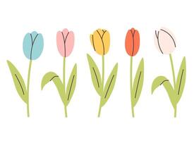 Cute tulips set. Design for cards, fabric, wrapping, scrapbooking, wallpaper. vector