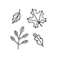Set bundle of hand drawn doodle sketch leaves isolated vector