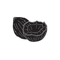 Hand drawn sketch coconut isolated on white background vector