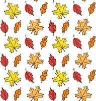 Seamless pattern of different colored hand drawn doodle sketch autumn leaves isolated on white background vector