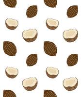 Seamless pattern of hand drawn sketch coconut isolated vector