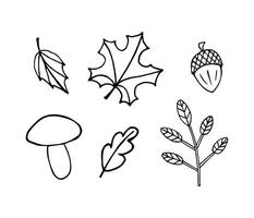 Set bundle of hand drawn doodle sketch autumn leaves acorn and mushroom isolated vector
