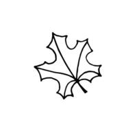 Hand drawn doodle sketch maple leaf isolated on white background vector