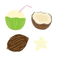 Set bundle of hand drawn doodle sketch coconuts vector