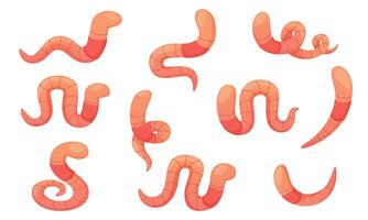 set of cartoon worms in different poses. Crawling pink earthworm. Garden worm of different shapes, different types of movement, twisted, wrapped, useful insect. vector