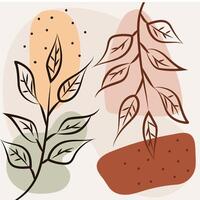 Outlined botanical leaves on geometric shapes vector