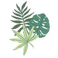 Hand drawn tropical leaves illustration featuring monstera and palm leaves in green shades. Modern flat design style. Perfect for botanical prints, web design, textile patterns, cards, and decor vector
