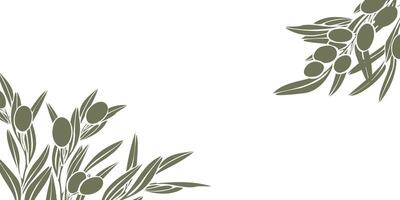 hand drawn frame with olive branches silhouette with fruits and leaves. Minimalist style template in olive green color. Perfect for textile, packaging, menu, prints, backgrounds vector