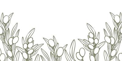 frame with olive tree branch with leaves and fruit. Hand drawn outline floral illustration template, contours without color fill for logo, package design, greetings, wallpapers, print, fabric vector