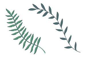 Hand drawn tropical leaves set including two elegant green branches with thin leaves. Minimalist flat style. Suitable for eco-friendly decor, posters, textile design, digital art, cards, and patterns vector