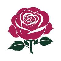 red rose with green leaves on a white background vector