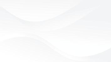 abstract white background with gradient color and wavy lines vector