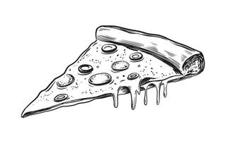 A piece of pizza on white vector
