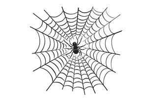 Spider and web on white vector