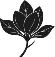 Elegant Magnolia Flower Silhouette - Botanical Spring Illustration vector