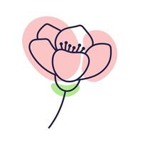 Cherry blossom flower Outline illustration with color spots. Doodle style. Hand drawn cherry flower Isolate on white. Sakura bud. vector