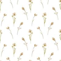 Sepia floral seamless pattern with light dried flowers by watercolor isolated. Simple foliate pattern in botanical sketch sand tones. Little buds stems hand drawn on repeated background. vector