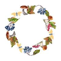 Watercolor autumn frame with mushroom of brown cap, red maple leaves and black chokeberry isolated. Rowan red berry branch with bolete hand drawn. Fall wreath of forest plants, butterfly botanical art vector