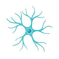 Astrocyte image, Neuroglia cell, Glial cell vector