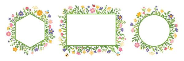 Set of frames with flowers and insects vector