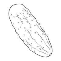 Cucumber in contour, in the style of line art. A healthy vegetarian dish. Illustrations for packaging, labels, menus, signage. Ingredients for vegetable salad. vector