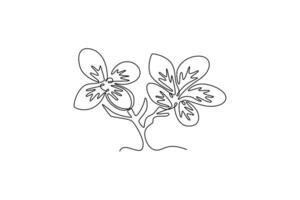Jasmine. Tree and flower concept. Single line draw design. graphic illustration vector