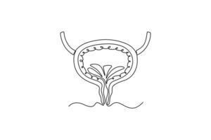 bladder. parts of the body concept. Single line draw design. graphic illustration vector