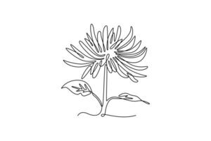 Spider Mum Spray. Tree and flower concept. Single line draw design. graphic illustration vector