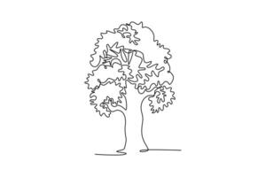 Oak. Tree and flower concept. Single line draw design. graphic illustration vector