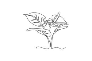 Anthurium. Tree and flower concept. Single line draw design. graphic illustration vector