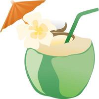 Coconuts fruit fresh and flower illustration vector