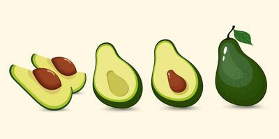 A fresh avocado with a dark green textured peel is displayed alongside different cross-sections, highlighting its smooth interior and nutritious seed. vector
