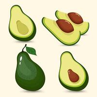 A collection of Avocadoes green fruits concepts, with features four avocado showcasing both whole and sliced views, revealing their creamy vector
