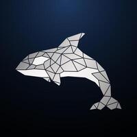 Polygonal abstract Grampus on dark blue background. vector
