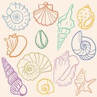 Set of seashell illustrations. Various shell types in a minimalistic line art style. Summer, vacation, ocean, beach concept. Design elements for trendy prints, label, menu cover. vector