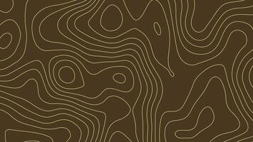 Abstract Topographic Line Pattern on Dark Background vector