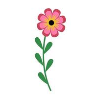 cute flower carden isolated icon illustration designicon illustration design vector