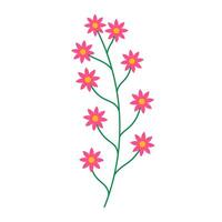 cute flower branch with leafs illustration designicon illustration design vector