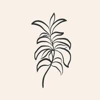 Sketch leafs Stevia plant on isolated background. Hand drawn botanical illustration with branch of sugar plant for logo, sign, label, print, card, tattoo. Food ingredient, harvest, sweetener vector