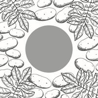 Border background with Potatoes plant for text. Hand drawn label with engraved potato vegetable. Design element for menu, paper, wrapping, card, sign. Food, harvest, farm. illustration vector