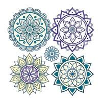 Set of round ornamental elements vector