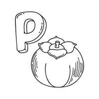 An illustration of letter P stand for persimmon vector