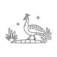 peacock walking along a stone pathway vector
