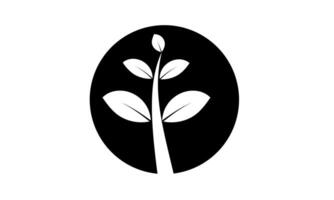 Tree in the Circle Logo for Nature Eco Friendly Branding and Sustainable Identity vector