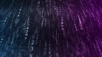 Falling random numbers matrix code in purple and blue video